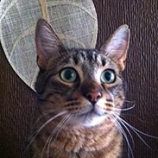 Avatar for hvergara from gravatar.com