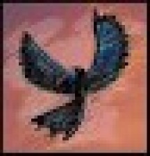 Avatar for Asley from gravatar.com