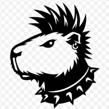 Avatar for Gus from gravatar.com