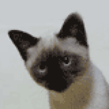 Avatar for KwonHan Bae from gravatar.com