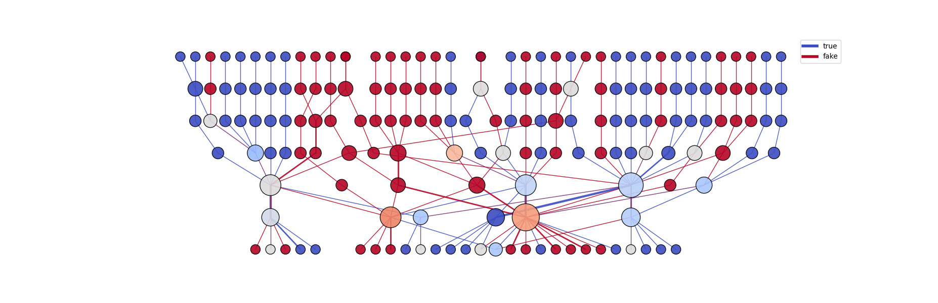 fake_and_true_graph