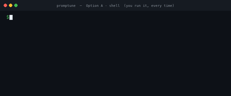 Promptune enhancing a prompt in the terminal