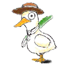 Avatar for IDEGUTI Masaya from gravatar.com