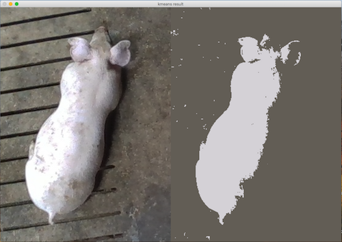 pig_re