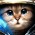 Avatar for loupgaroublond from gravatar.com