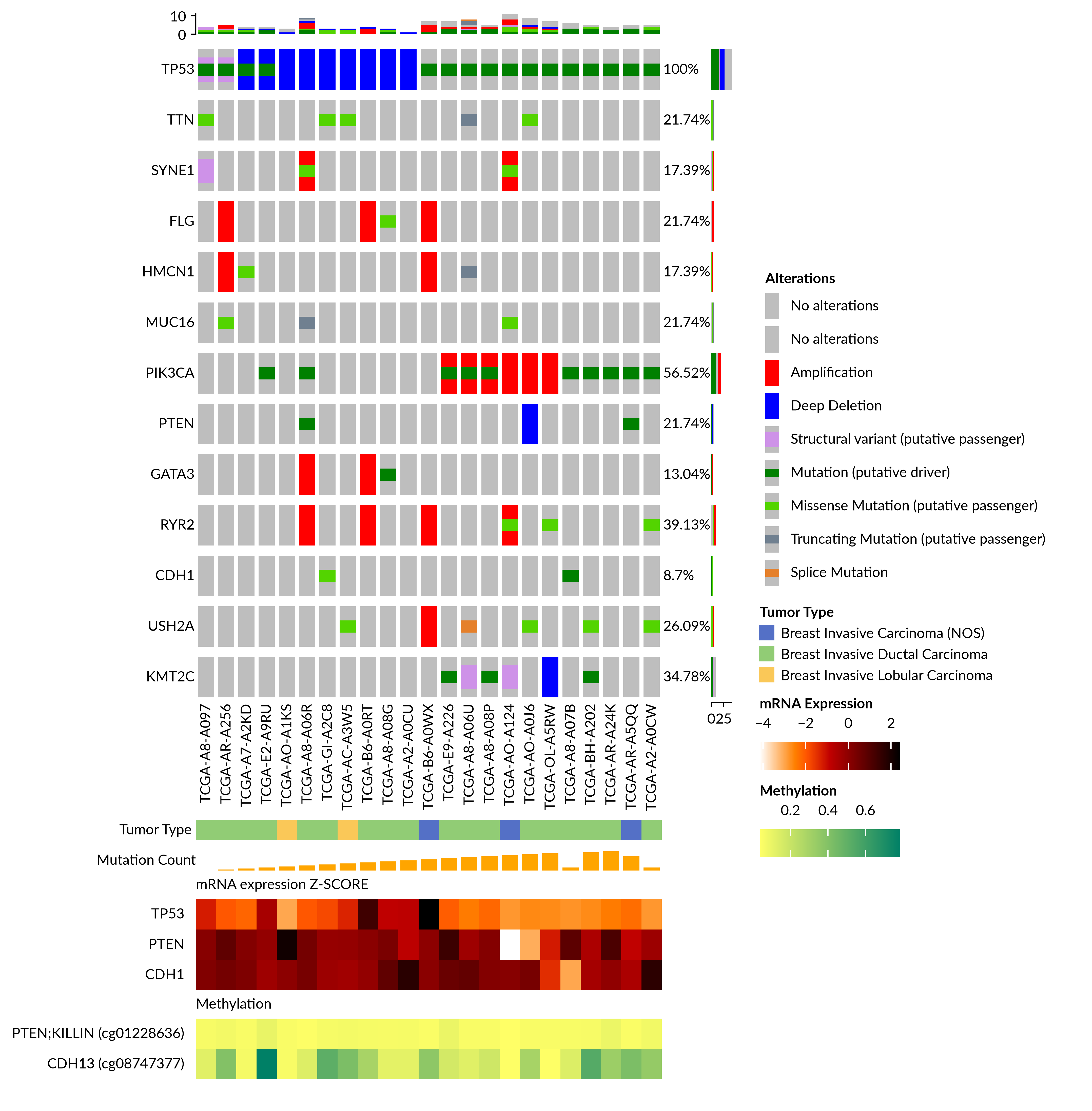 Oncoprint of breast cancer mutations across samples and genes