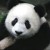 Avatar for kristou from gravatar.com