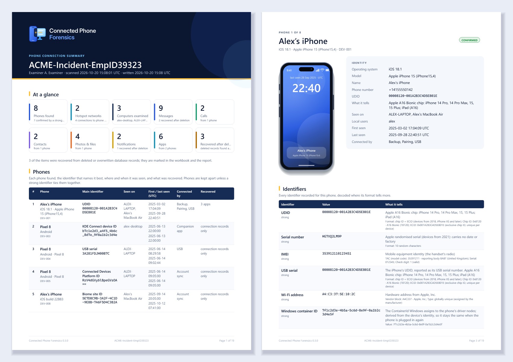 Two pages of the PDF summary: the case at a glance and a page per phone