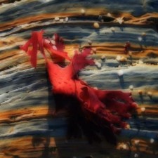 Avatar for Jim Robinson from gravatar.com