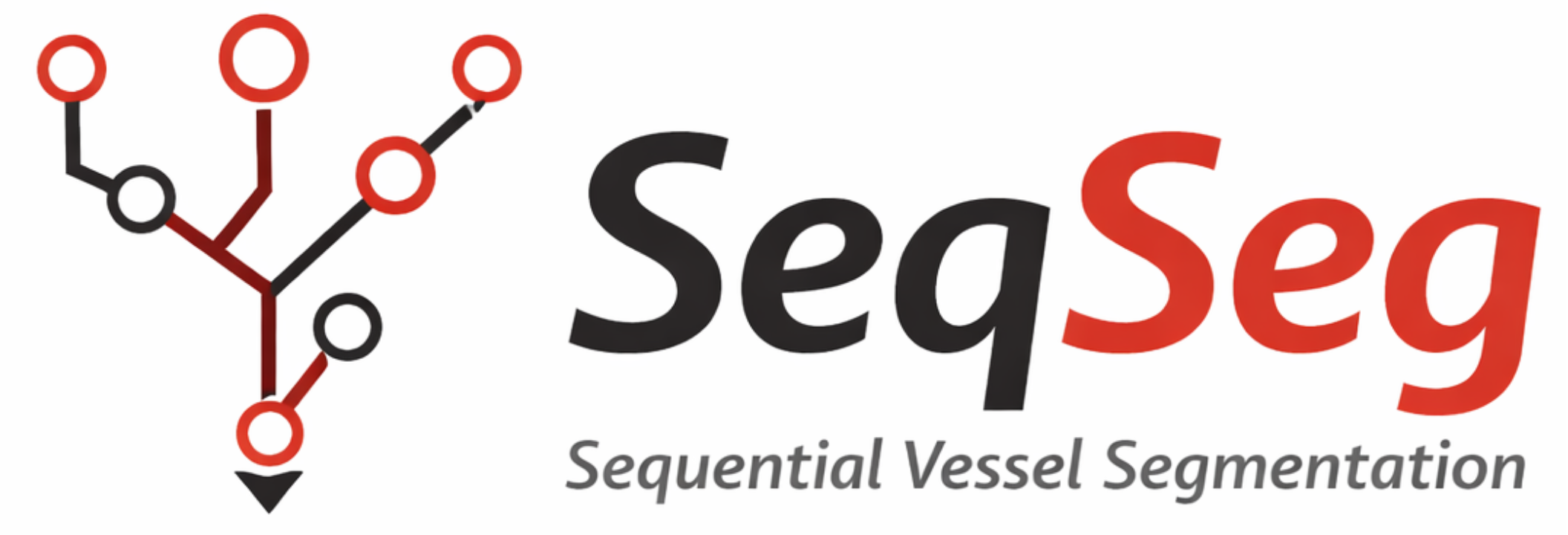 SeqSeg — Sequential Vessel Segmentation