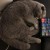 Avatar for mazyod from gravatar.com