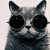 Avatar for skycker from gravatar.com