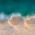 Avatar for maxwillx from gravatar.com