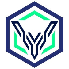 Avatar for Vault Cyber Security from gravatar.com