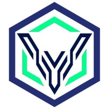 Avatar for Vault Cyber Security from gravatar.com