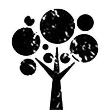 Avatar for Sean Sekora from gravatar.com