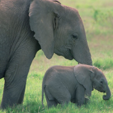 Avatar for Peter Lampen from gravatar.com