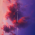 Avatar for safarof from gravatar.com