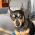 Avatar for junhaochai from gravatar.com