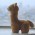 Avatar for ritksm from gravatar.com