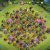 Avatar for Bincez from gravatar.com