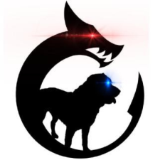 Avatar for dragonhound from gravatar.com