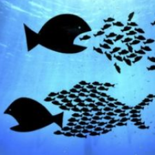 Avatar for Daphne from gravatar.com