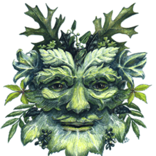 Avatar for Andrew G Brown from gravatar.com