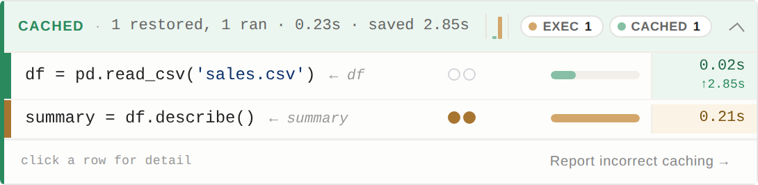 A Cash badge below a notebook cell: the pd.read_csv row restored from cache, the df.describe row recomputed