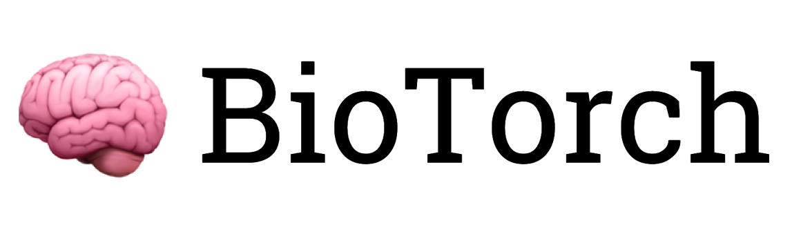 BioTorch