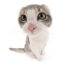 Avatar for 760ceb3b9c0ba4872cadf3ce35a7a494 from gravatar.com