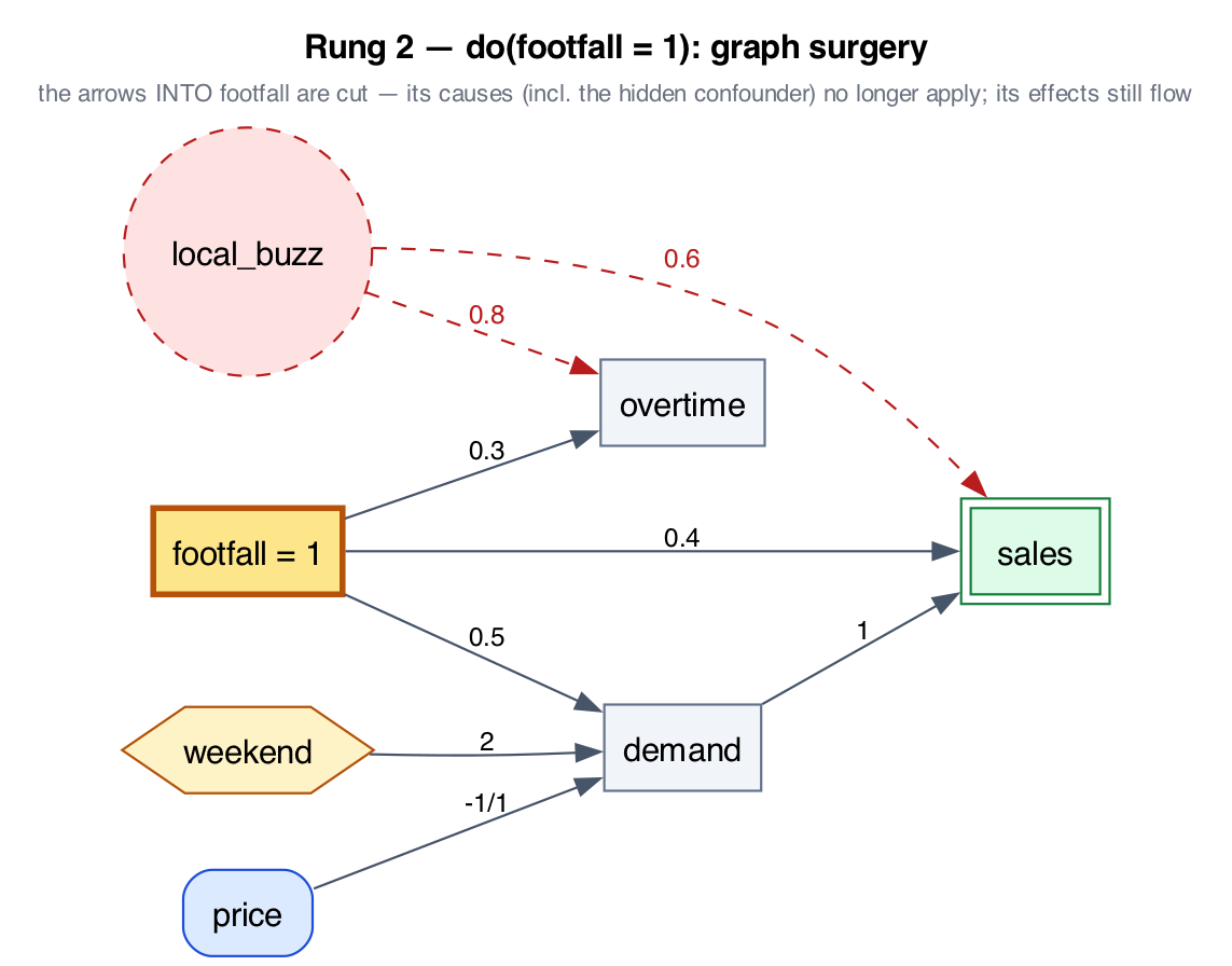 Rung 2 — do(footfall): the arrows into footfall are cut, its effects still flow
