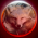 Avatar for russellballestrini from gravatar.com
