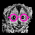 Avatar for douroucoulis.fr from gravatar.com