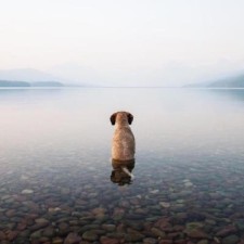 Avatar for Sam Jones from gravatar.com