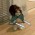Avatar for izabelamaria24 from gravatar.com
