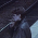 Avatar for Piker98988 from gravatar.com