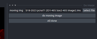 moving image step