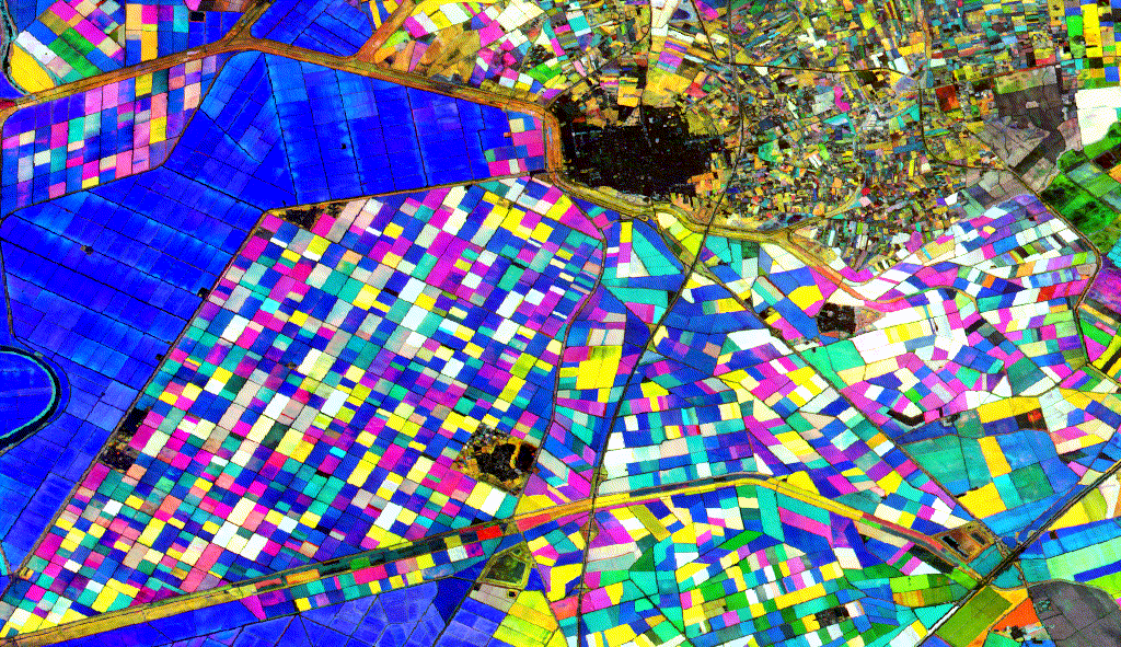 GIF Example