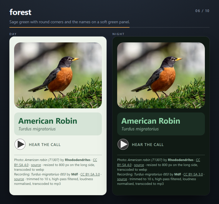 The forest theme