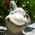 Avatar for polyvertex from gravatar.com