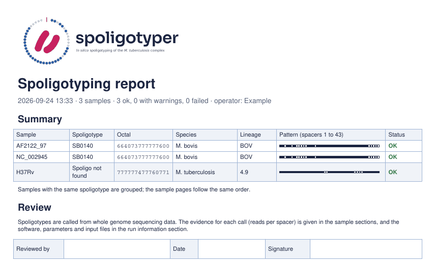 Summary page of the PDF report, with the spoligotype pattern of three samples