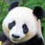 Avatar for scode from gravatar.com
