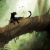 Avatar for splion360 from gravatar.com