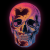 Avatar for warriorstar from gravatar.com
