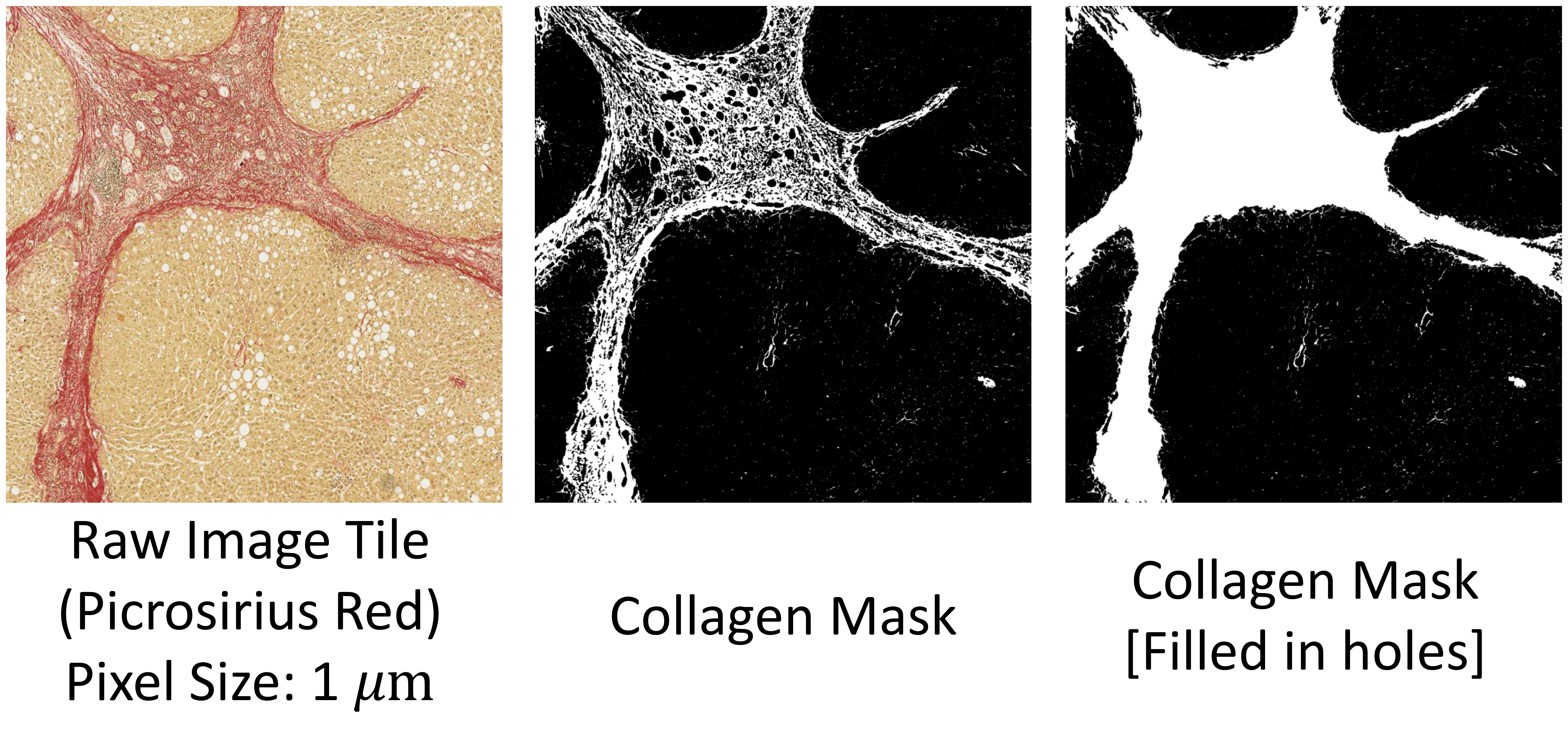 Collage Segmentation Example