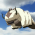 Avatar for mrdev from gravatar.com