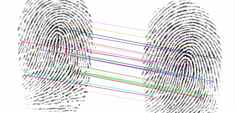 Two prints of the same finger, with the matches used to align them