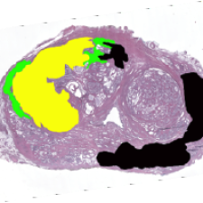 Avatar for LaViolette Lab from gravatar.com