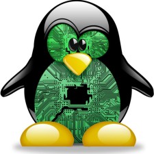 Avatar for Sammy Shuck from gravatar.com